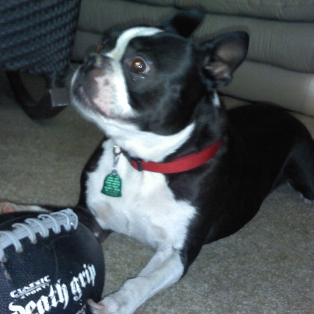 Meet your Posher, Debbie